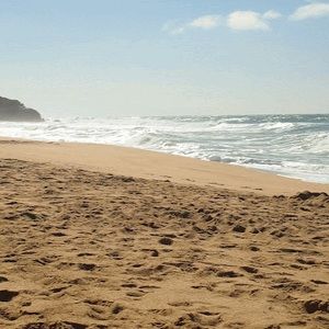 Meet your Posher, Colin